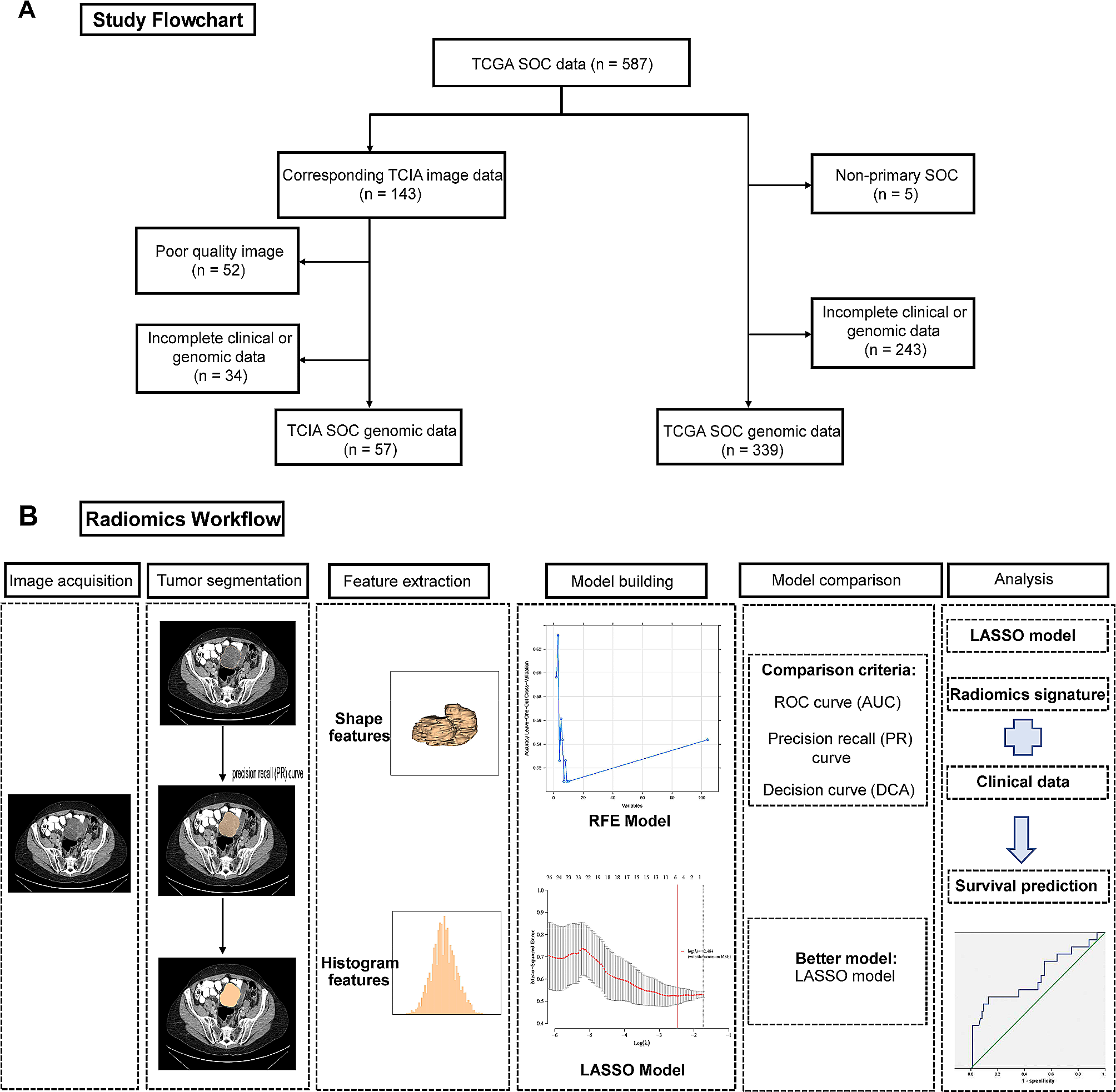 Predicting CD27 expression and clinical prognosis in serous ovarian cancer using CT-based radiomics