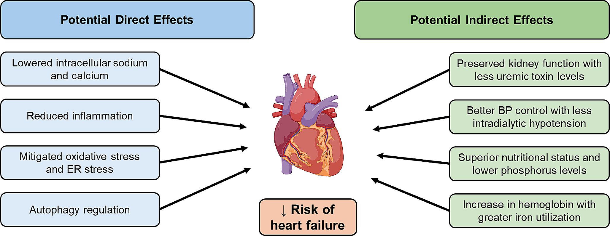 Is There a Role for SGLT2 Inhibitors in Patients with End-Stage Kidney Disease?