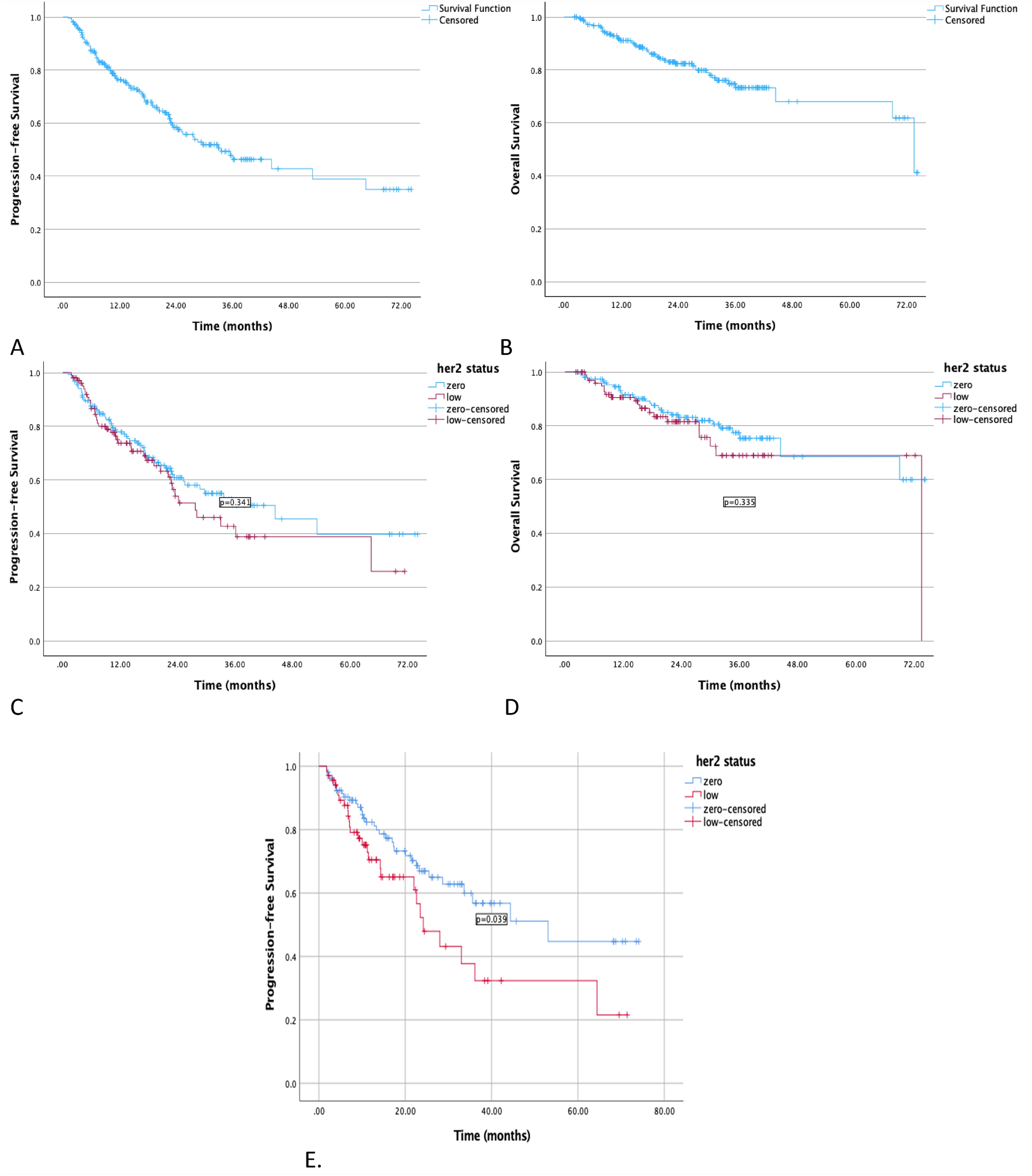 Relationship between HER2-low status and efficacy of CDK4/6 inhibitors in advanced breast cancer: a real-world study