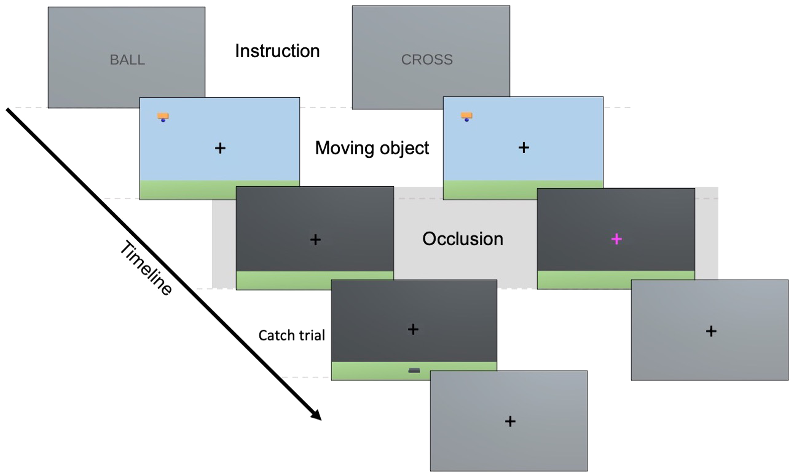 Inferring occluded projectile motion changes connectivity within a visuo-fronto-parietal network
