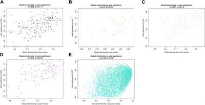 Identification of differentially expressed genes of blood leukocytes for Schizophrenia