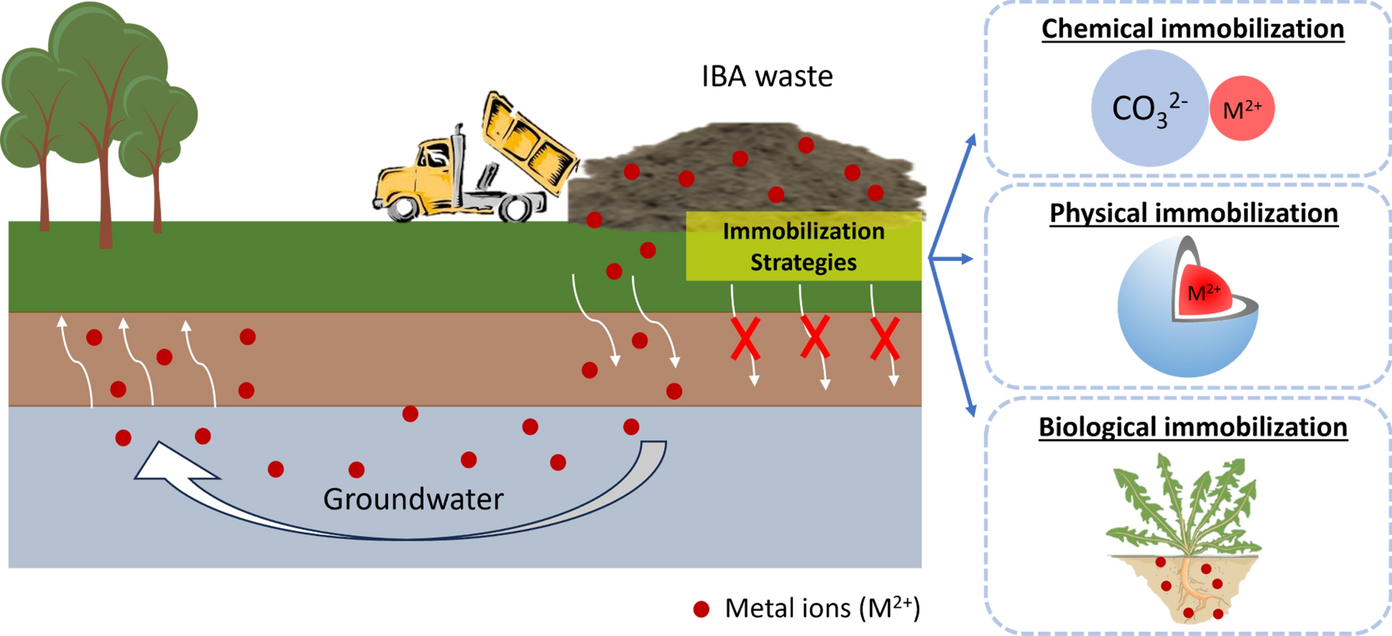 Strategies for heavy metals immobilization in municipal solid waste incineration bottom ash: a critical review