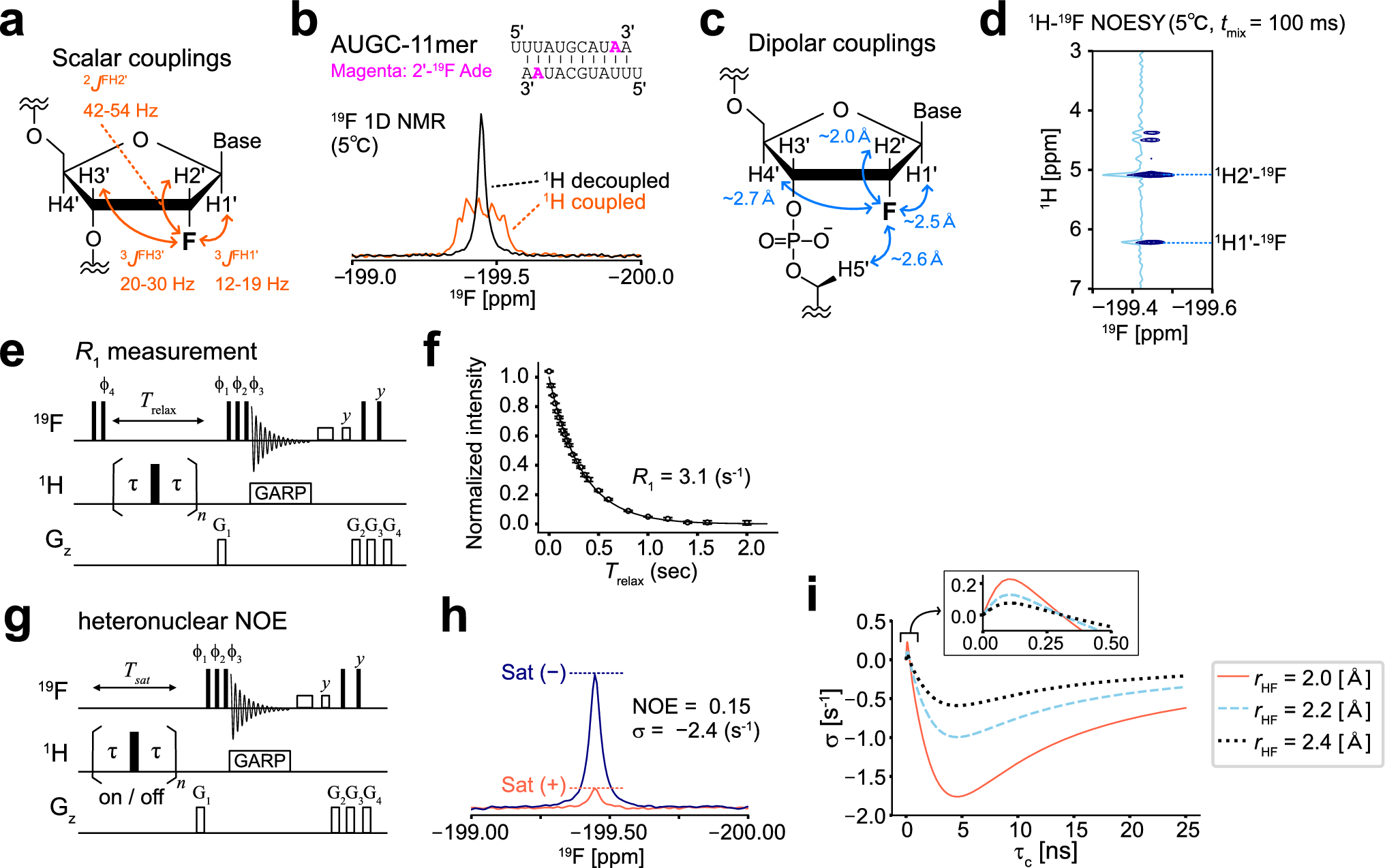 Quantitative analysis of the slow exchange process by 19F NMR in the presence of scalar and dipolar couplings: applications to the ribose 2′-19F probe in nucleic acids