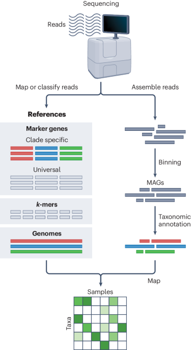 Sequencing-based analysis of microbiomes