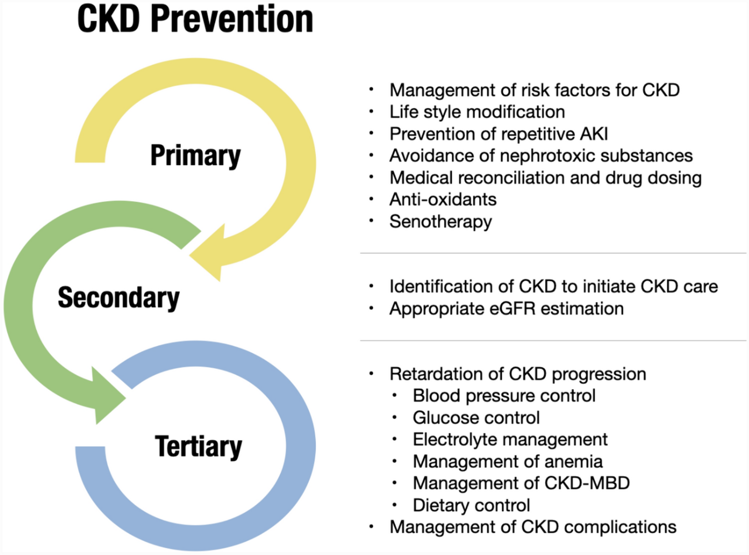 Prevention of Chronic Kidney Disease and Its Complications in Older Adults