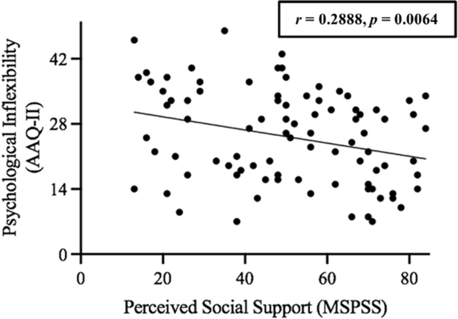 Exploring the Relationship between Social Support, Academic Performance, and Measures of Well-Being of LGBTQIA2S+ College Students at a Midwestern University