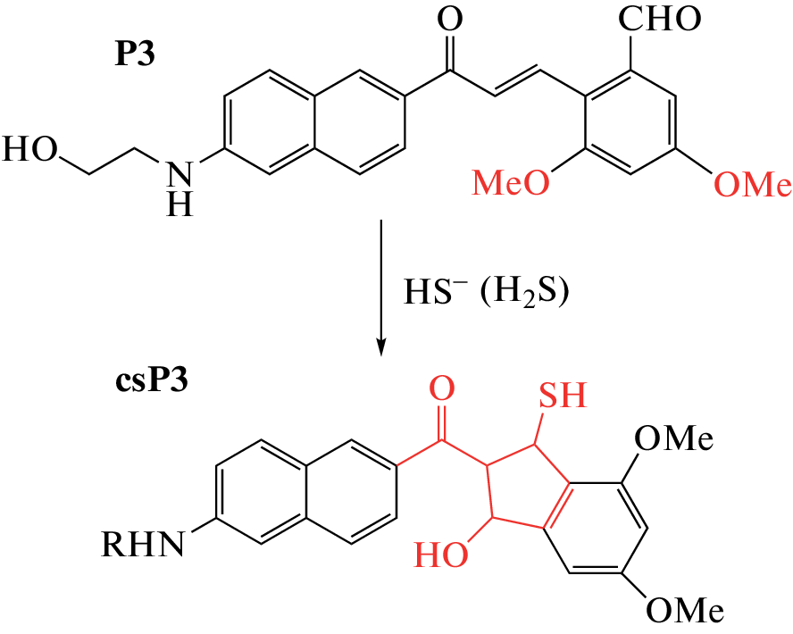 On the Feasibility of Using an Acedan-Based Fluorescent Probe to Monitor Hydrogen Sulfide in Primary Neuronal Cultures