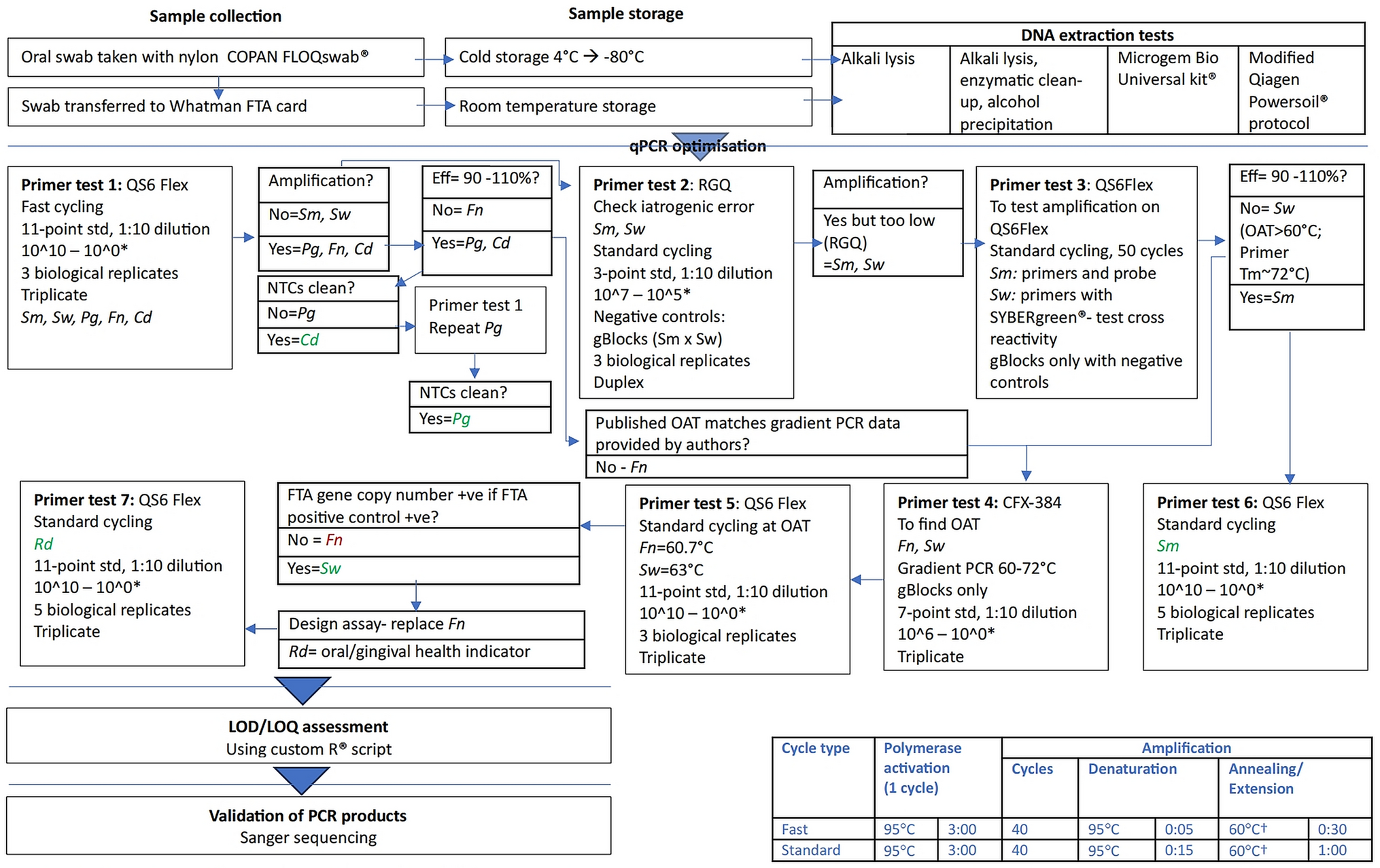 qPCR assay optimisation for a clinical study comparing oral health risk in Rett syndrome