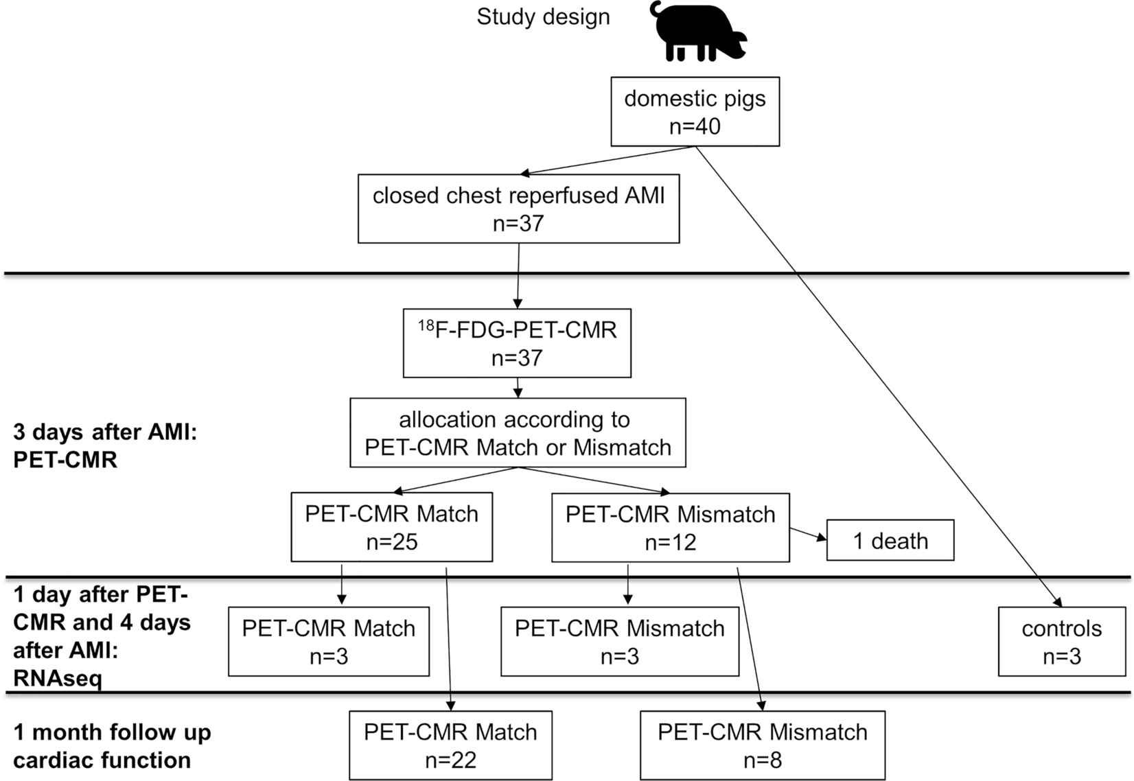 Increased [18F]FDG uptake in the infarcted myocardial area displayed by combined PET/CMR correlates with snRNA-seq-detected inflammatory cell invasion