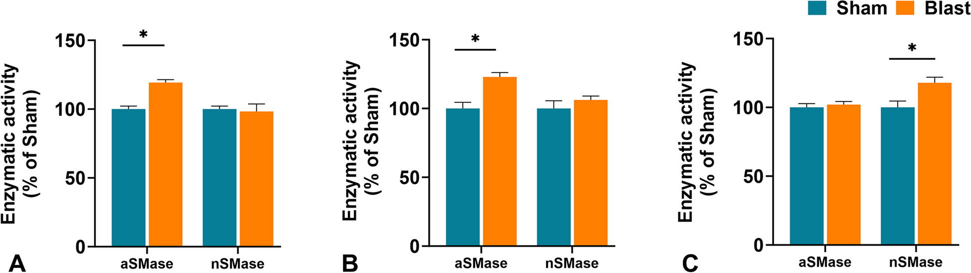 Sphingolipid changes in mouse brain and plasma after mild traumatic brain injury at the acute phases