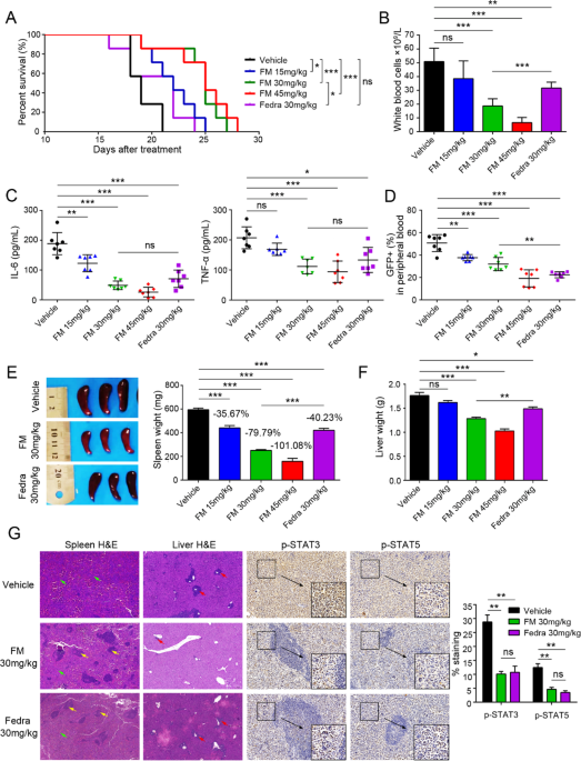 Correction to: Preclinical studies of Flonoltinib Maleate, a novel JAK2/FLT3 inhibitor, in treatment of JAK2V617F-induced myeloproliferative neoplasms
