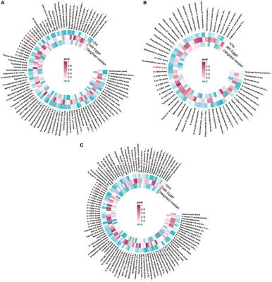 Causal association of genetically determined plasma metabolites with osteoarthritis: a two-sample Mendelian randomization study