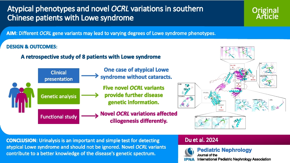 Atypical phenotypes and novel OCRL variations in southern Chinese patients with Lowe syndrome
