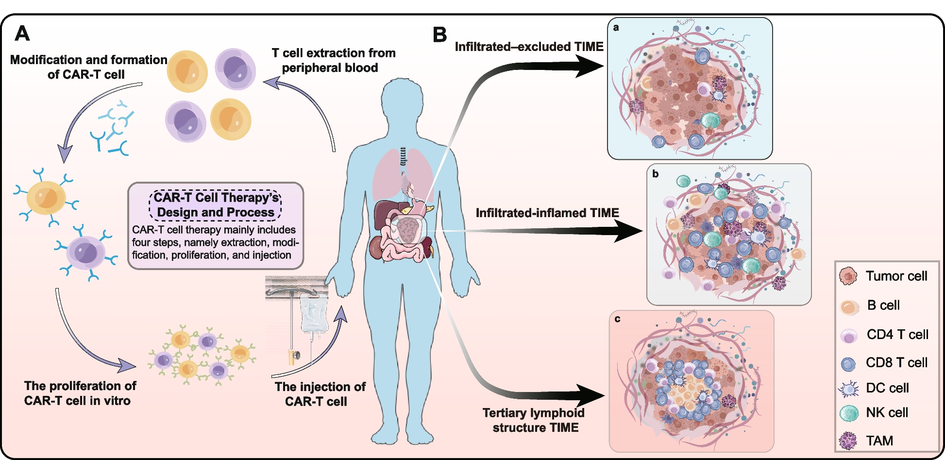 Deciphering the tumor immune microenvironment from a multidimensional omics perspective: insight into next-generation CAR-T cell immunotherapy and beyond
