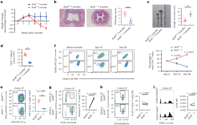 Reciprocal regulation of T follicular helper cells and dendritic cells drives colitis development