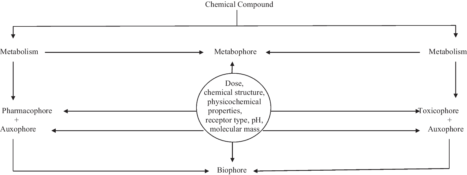 Structure-activity relationship of pharmacophores and toxicophores: the need for clinical strategy