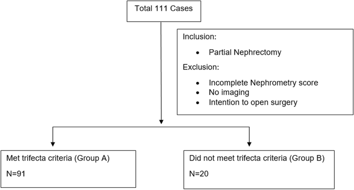 Best predictive single nephrometry score component to correlate with achievement of trifecta outcome in laparoscopic and robotic surgery