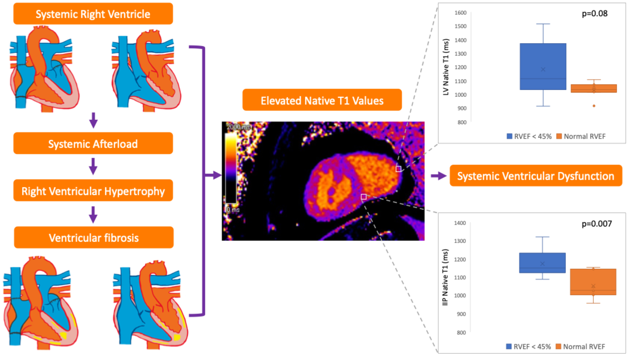 T1 mapping: a non-invasive tool to assess the systemic right ventricle