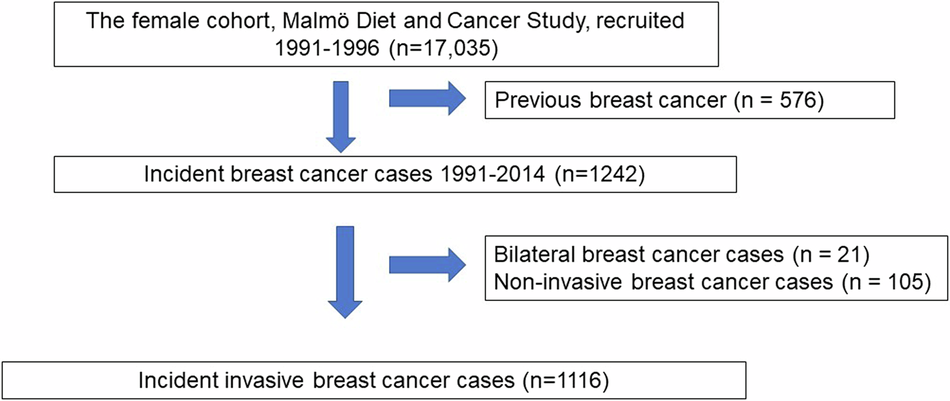 Mammographic features differ with body composition in women with breast cancer