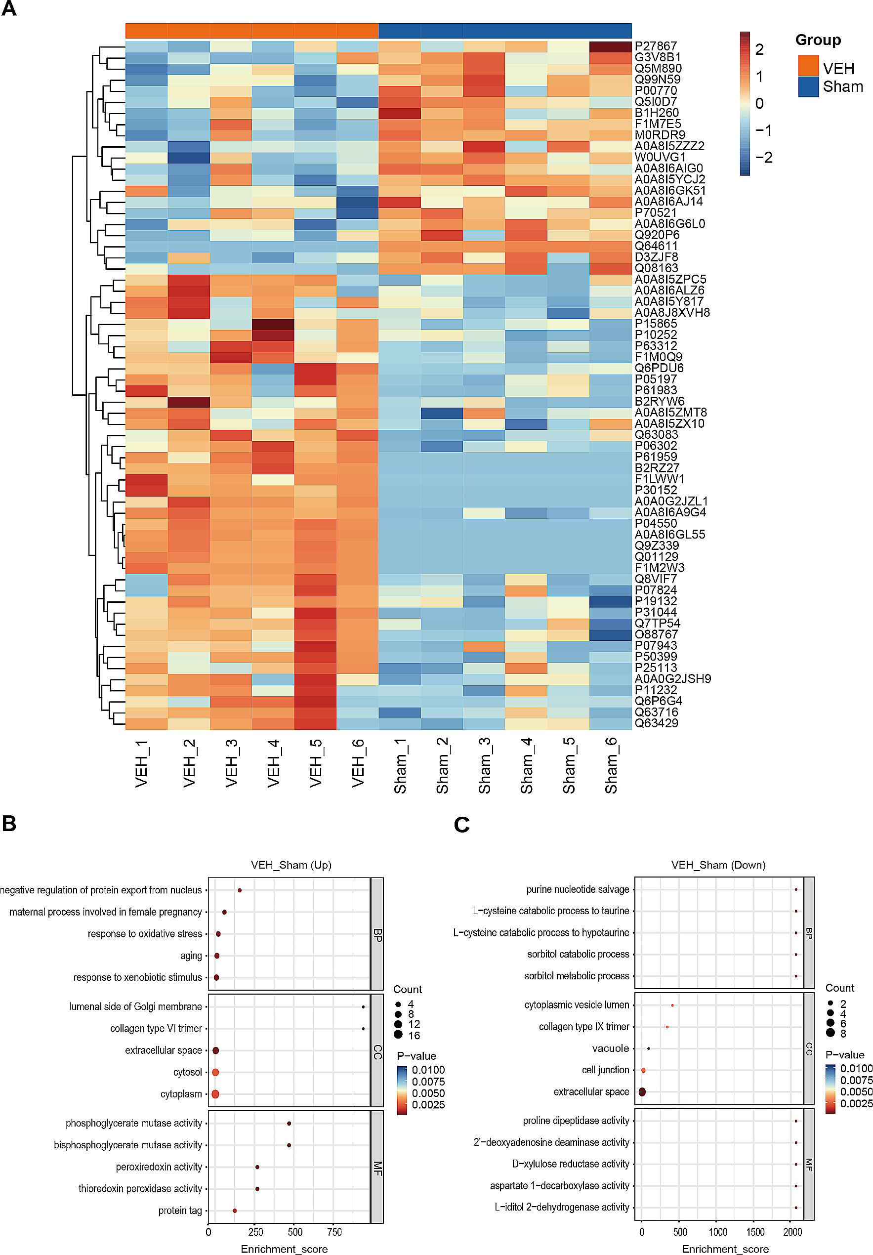 Integrated proteomic and metabolomic profiling of lymph after trauma-induced hypercoagulopathy and antithrombotic therapy