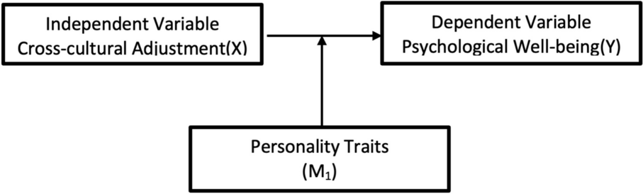 Personality Traits as Moderating Variables for Cross-Cultural Adjustment and Psychological Well-Being