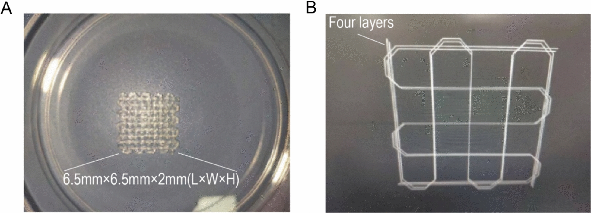 Application of 3D bioprinting technology apply to assessing Dangguiniantongtang (DGNT) decoctions in arthritis