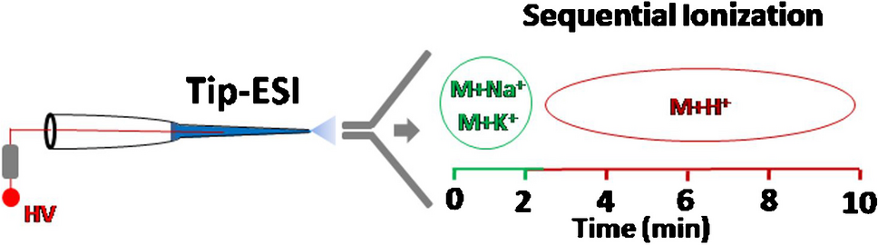 Rapid analysis of untreated food samples by gel loading tip spray ionization mass spectrometry