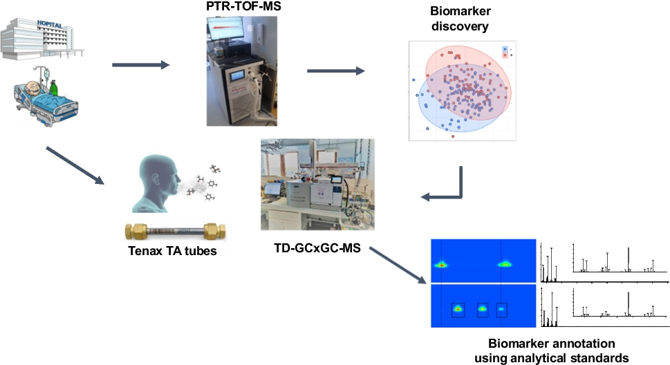 Combination of real-time and hyphenated mass spectrometry for improved characterisation of exhaled breath biomarkers in clinical research