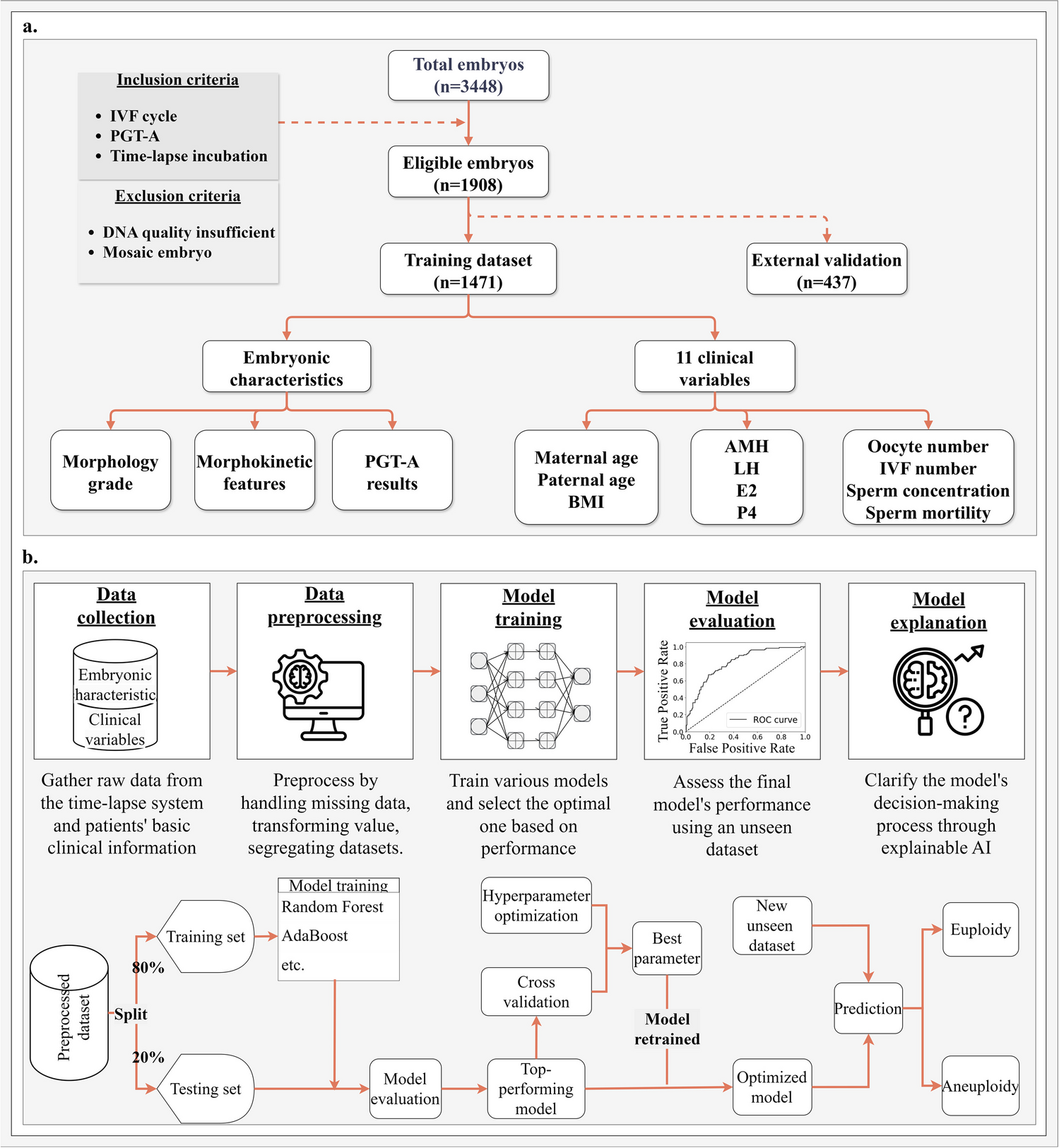 Beyond black-box models: explainable AI for embryo ploidy prediction and patient-centric consultation