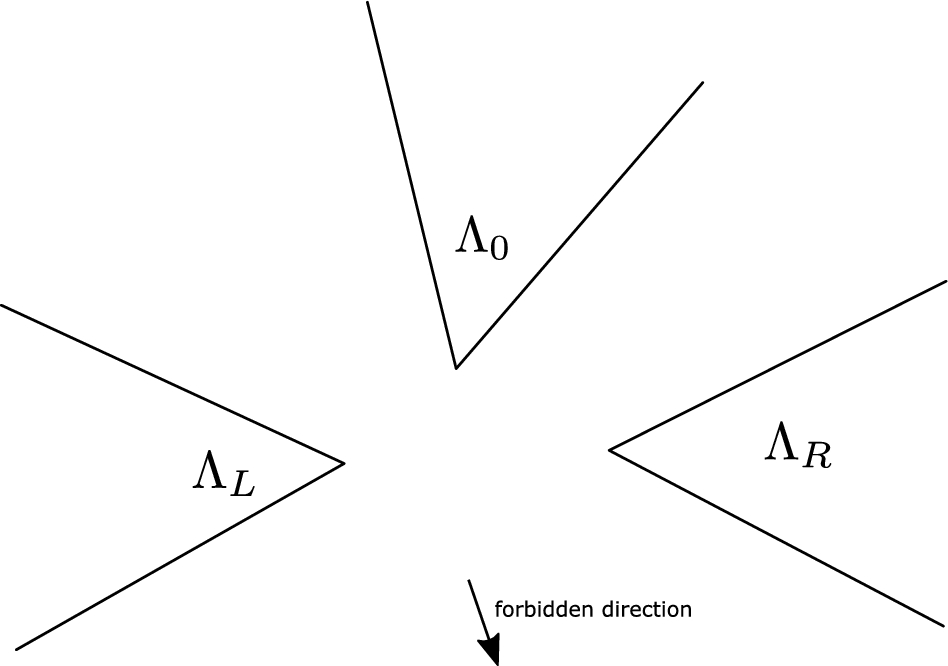 The Double Semion State in Infinite Volume