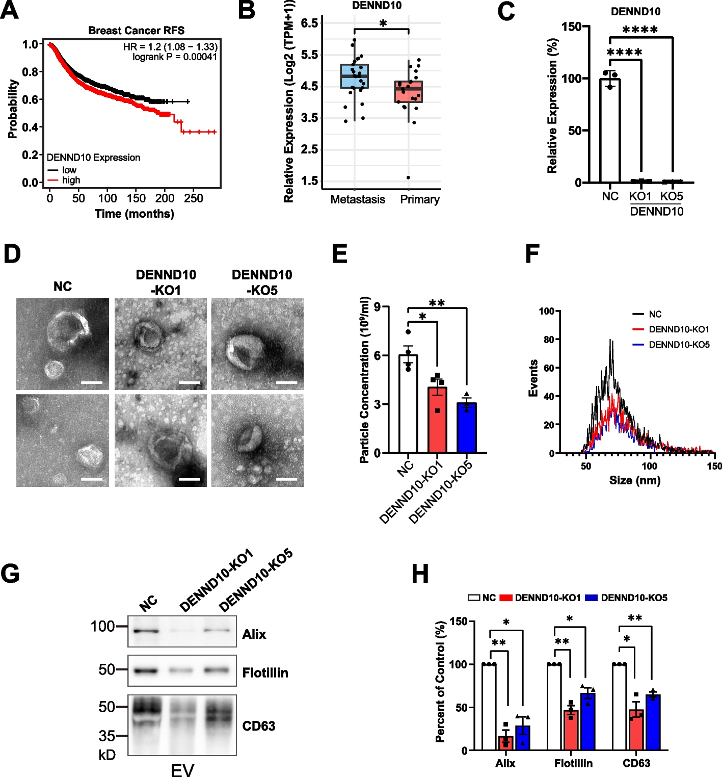 Endosomal protein DENND10/FAM45A integrates extracellular vesicle release with cancer cell migration
