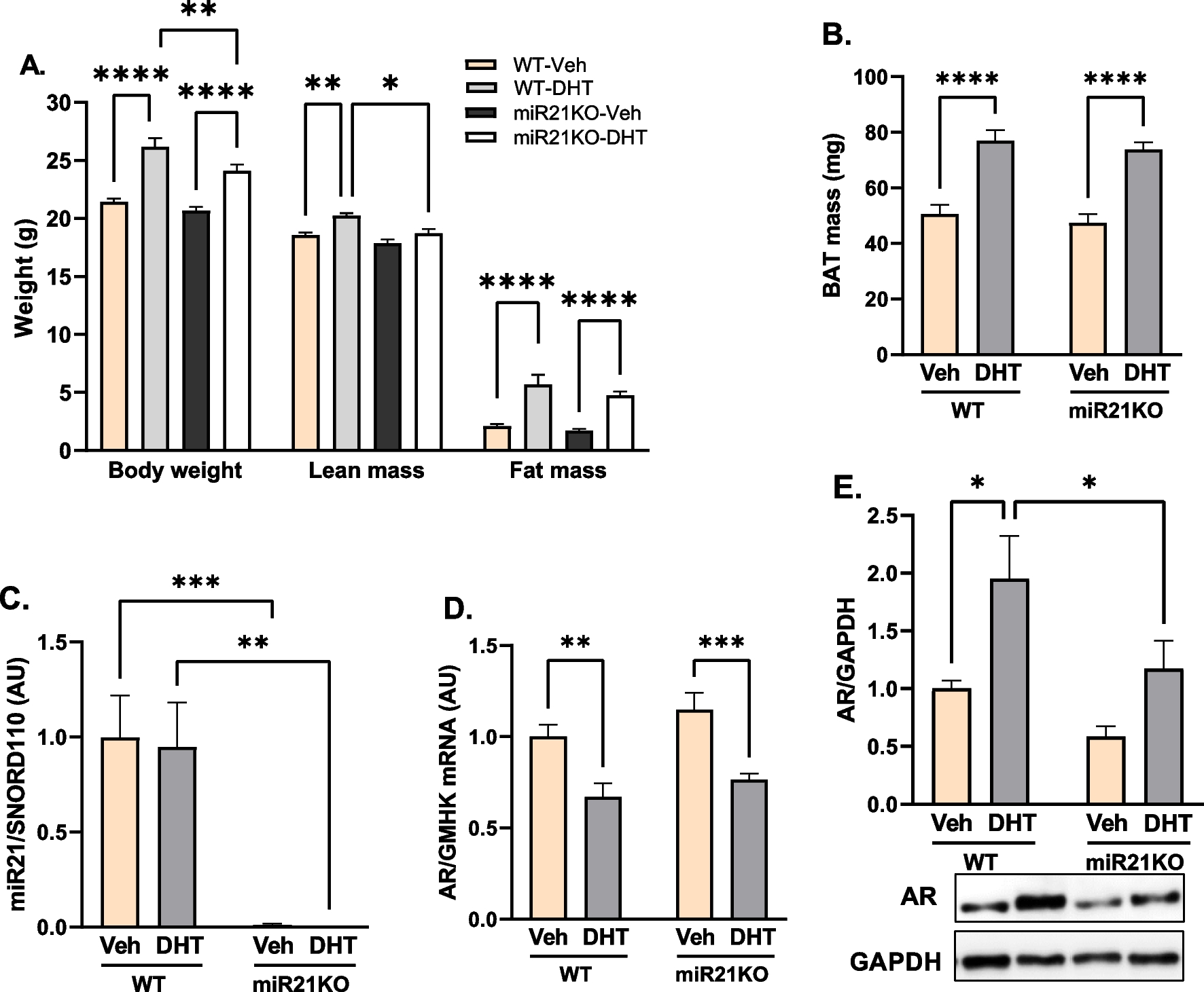 MicroRNA-21 modulates brown adipose tissue adipogenesis and thermogenesis in a mouse model of polycystic ovary syndrome