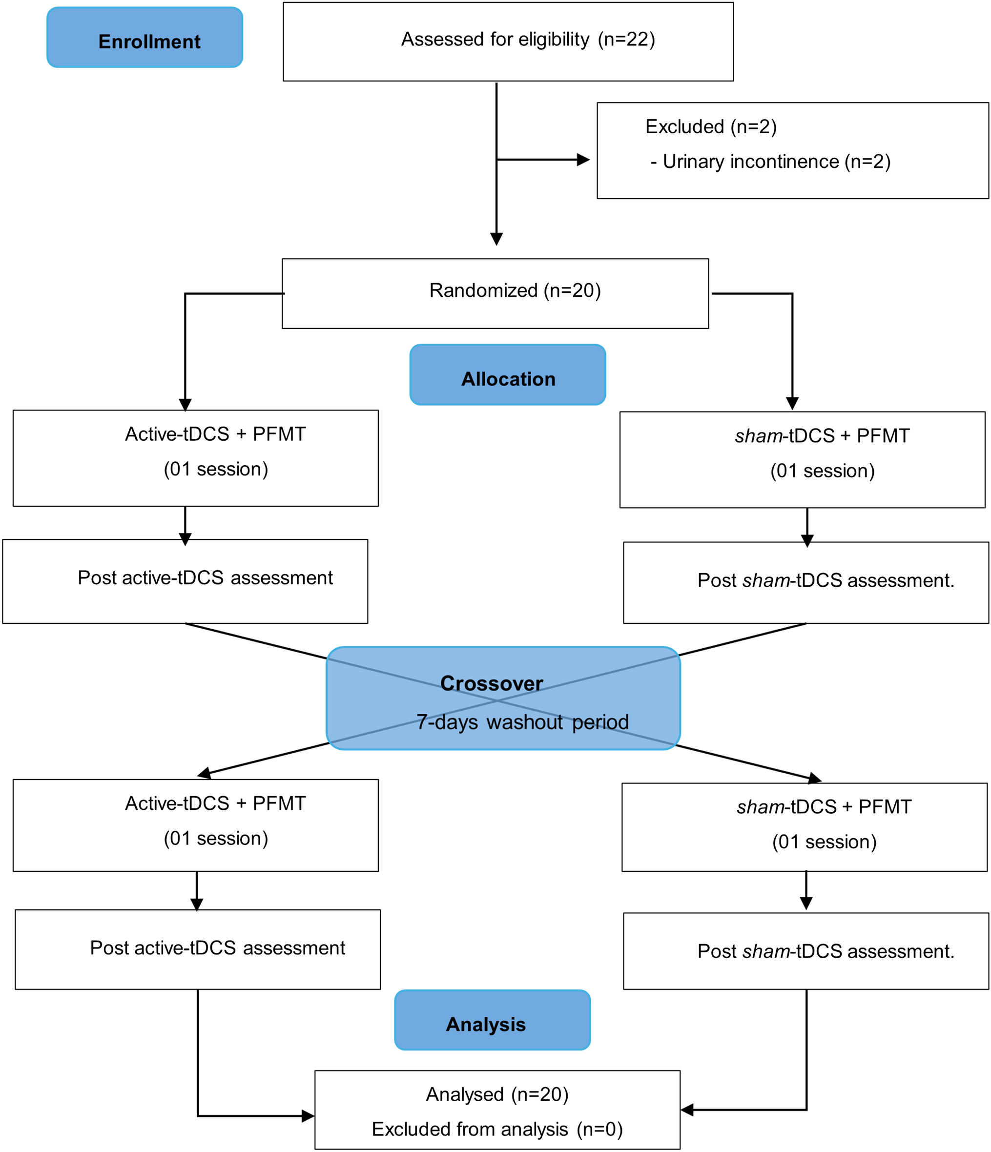 Acute Effect of Transcranial Direct Current Stimulation in Pelvic Floor Muscle Function in Young Healthy Women: Initial Findings of a Randomized Controlled Trial