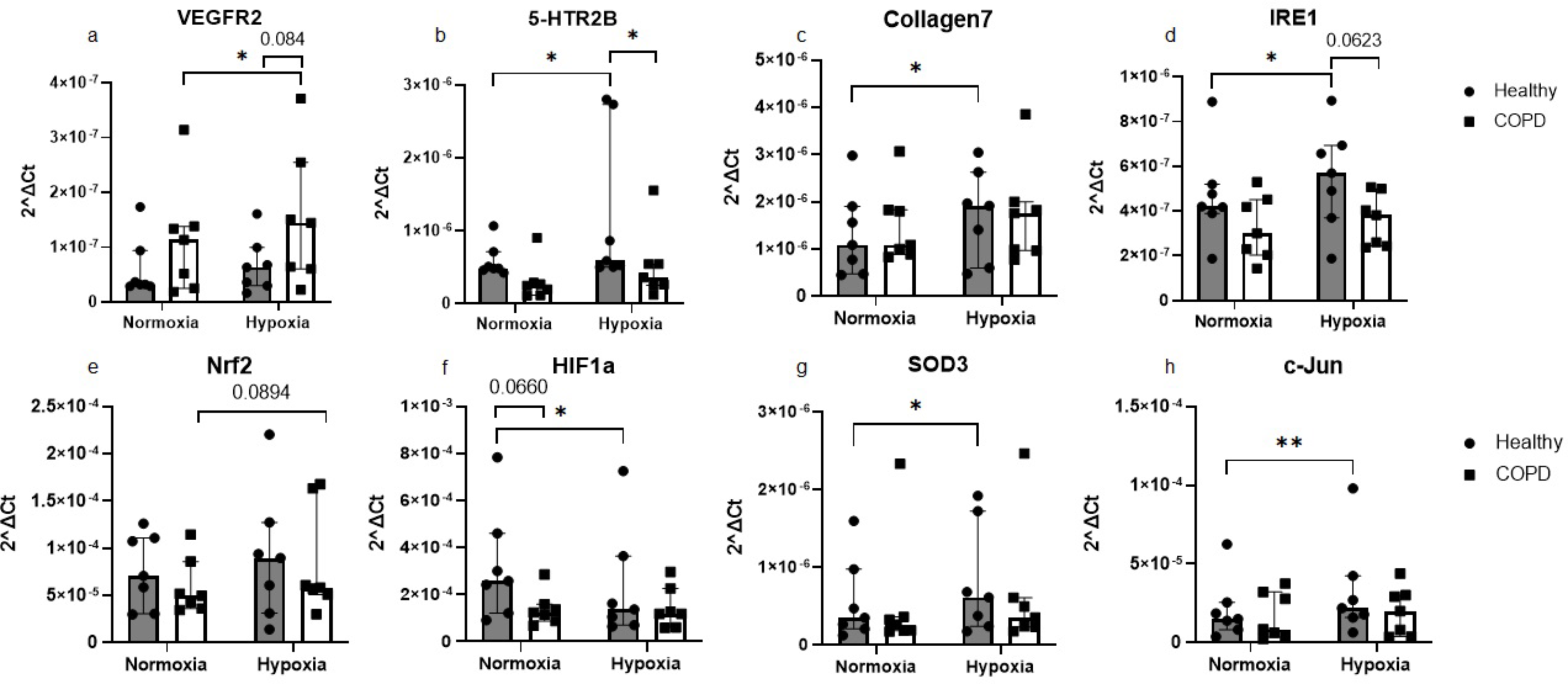 Altered hypoxia-induced cellular responses and inflammatory profile in lung fibroblasts from COPD patients compared to control subjects