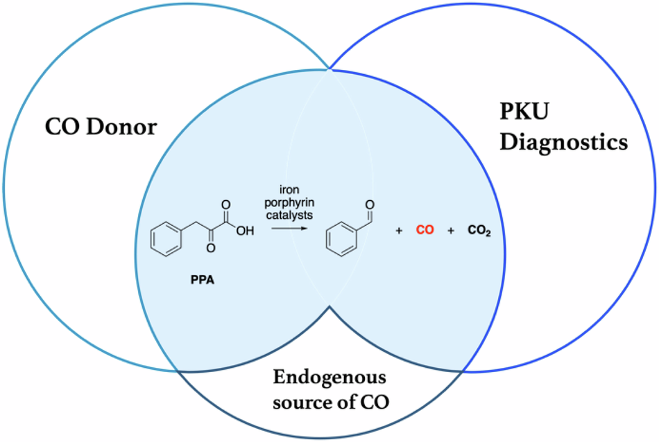 Iron porphyrin-mediated production of carbon monoxide from phenylpyruvic acid: from potential therapeutic and diagnostic use to physiological implications