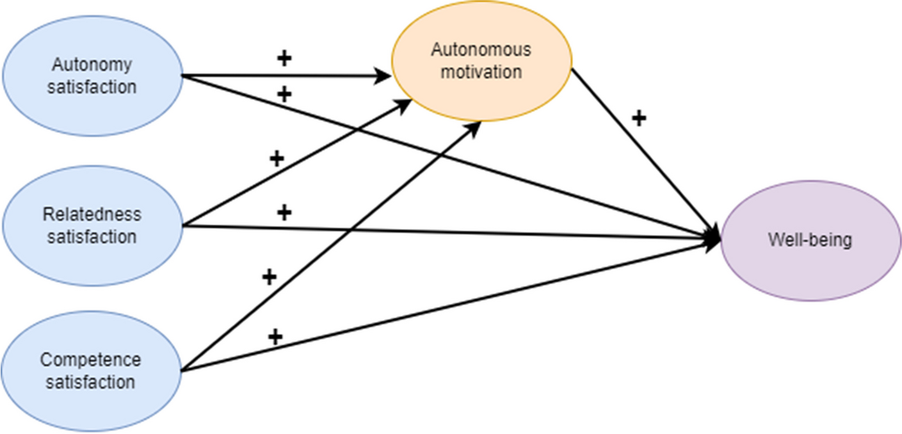 Paths to Autonomous Motivation and Well-being: Understanding the Contribution of Basic Psychological Needs Satisfaction in Health Professions Students