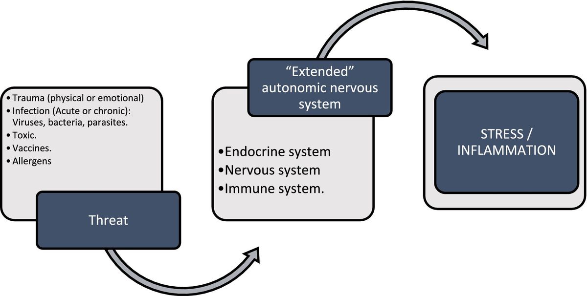 Neurological symphony: post-acute COVID-19 syndrome, an innovative pathophysiological exploration from neuraltherapeutic medicine