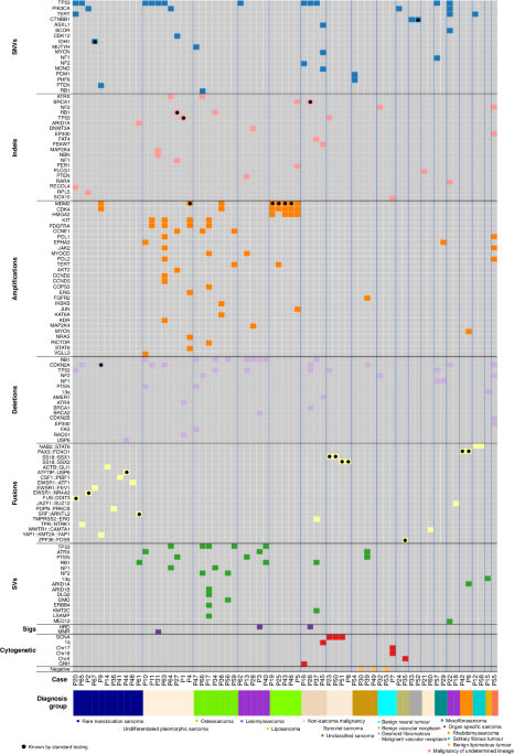 Introduction and impact of routine whole genome sequencing in the diagnosis and management of sarcoma