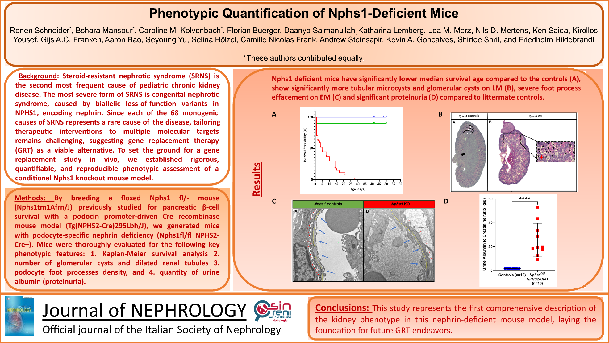 Phenotypic quantification of Nphs1-deficient mice