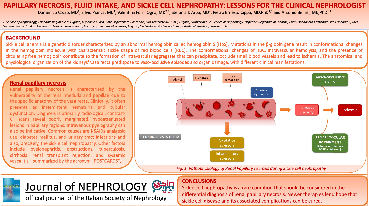 Papillary necrosis, fluid intake, and sickle cell nephropathy: lessons for the clinical nephrologist