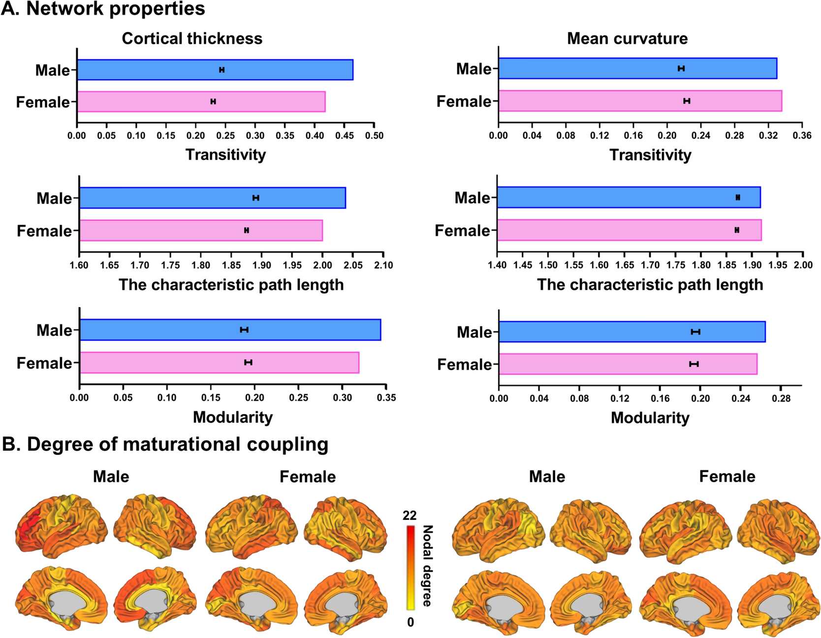 No sex difference in maturation of brain morphology during the perinatal period