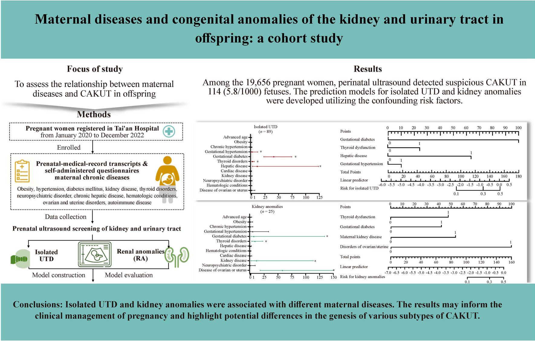Maternal diseases and congenital anomalies of the kidney and urinary tract in offspring: a cohort study