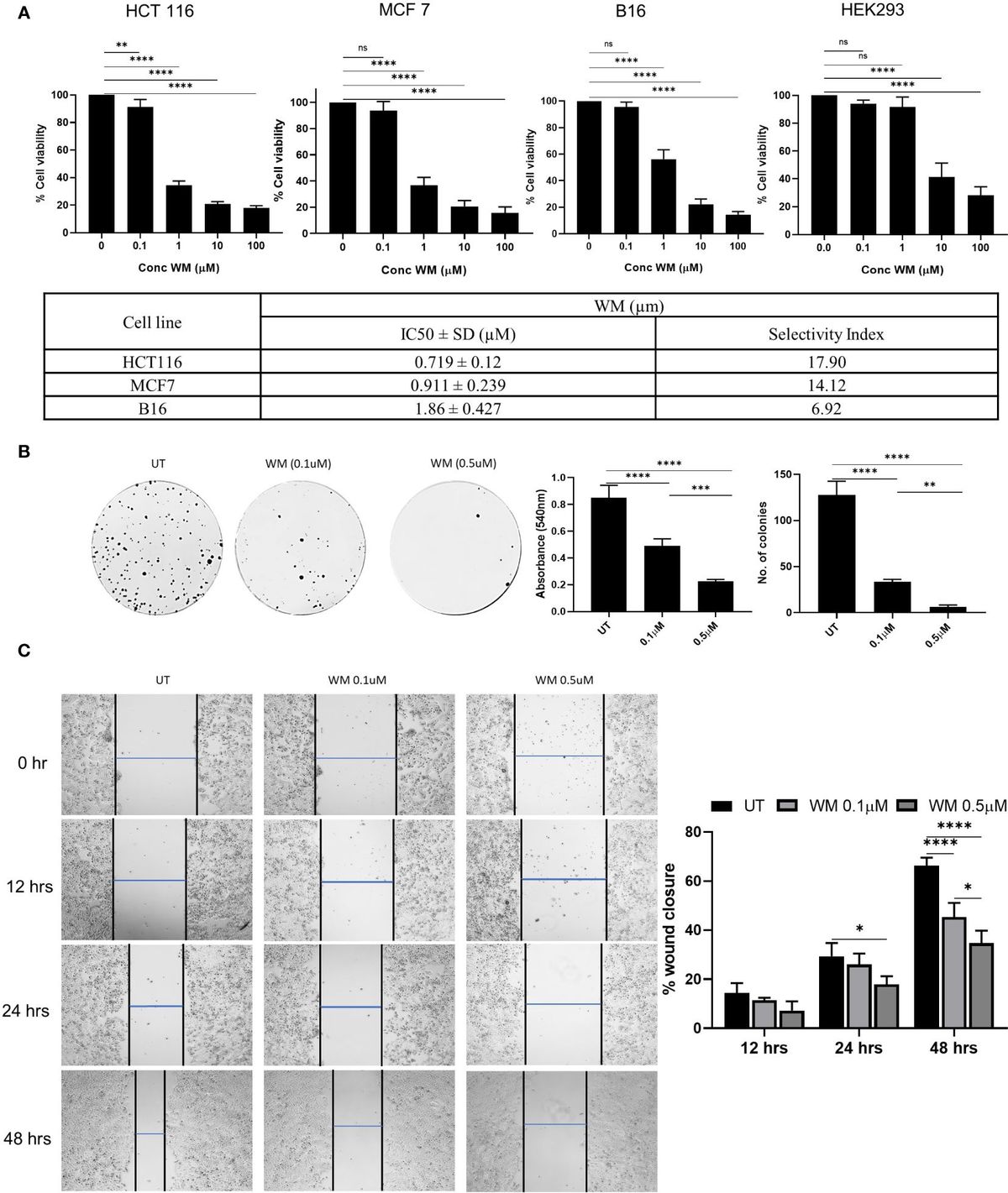 Withametelin inhibits TGF-β induced Epithelial-to-Mesenchymal Transition and Programmed-Death Ligand-1 expression in vitro