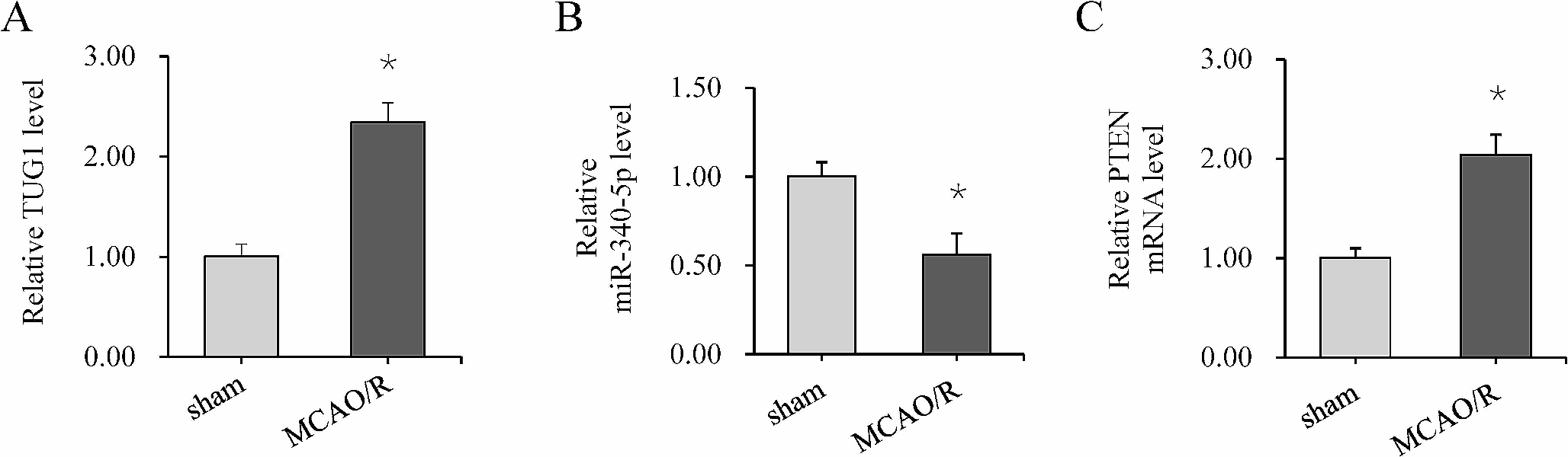 TUG1 exacerbates cerebral ischemia-reperfusion injury through miR-340-5p-mediated PTEN