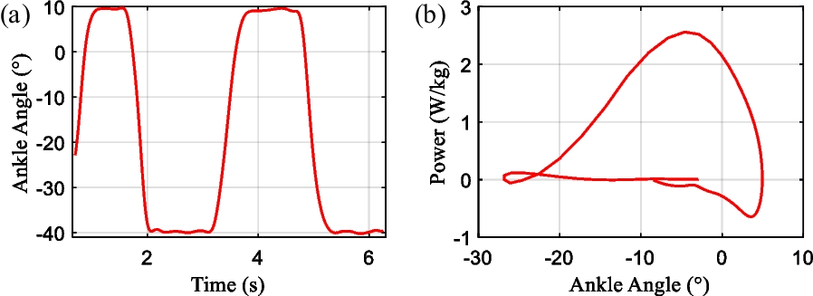 Intelligent ankle–foot prosthesis based on human structure and motion bionics