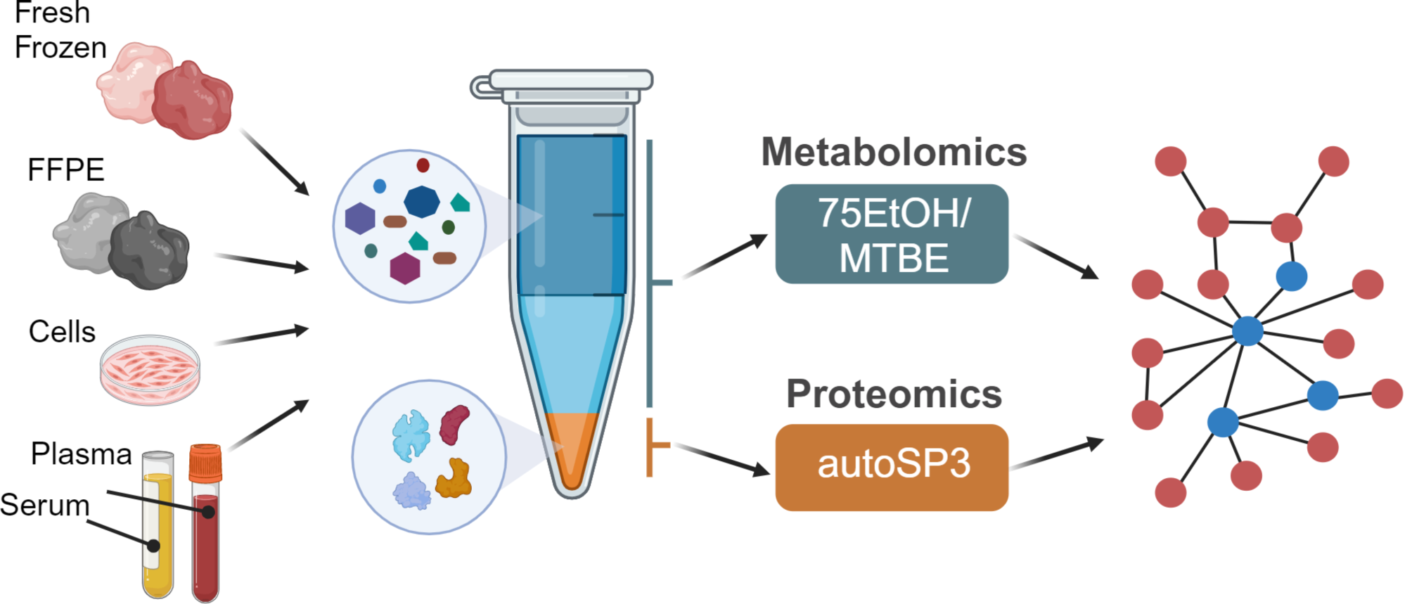 A single-sample workflow for joint metabolomic and proteomic analysis of clinical specimens