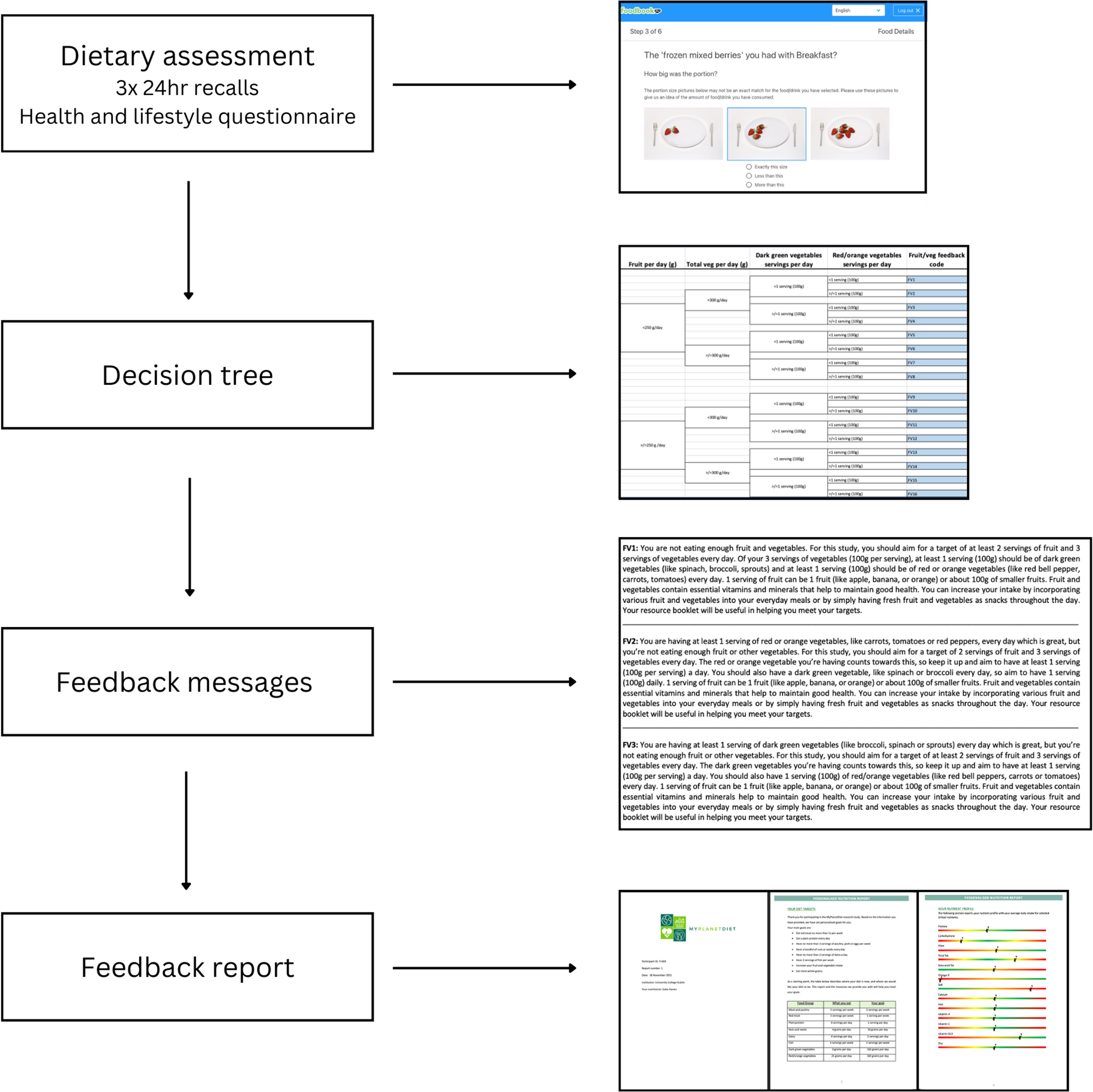 Developing and testing personalised nutrition feedback for more sustainable healthy diets: the MyPlanetDiet randomised controlled trial protocol
