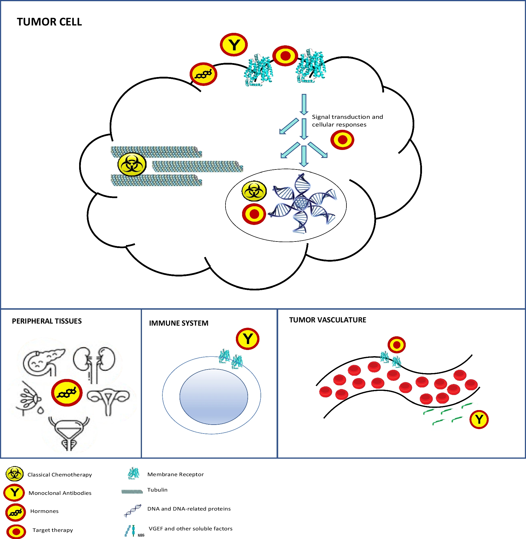 Classification of anticancer drugs: an update with FDA- and EMA-approved drugs