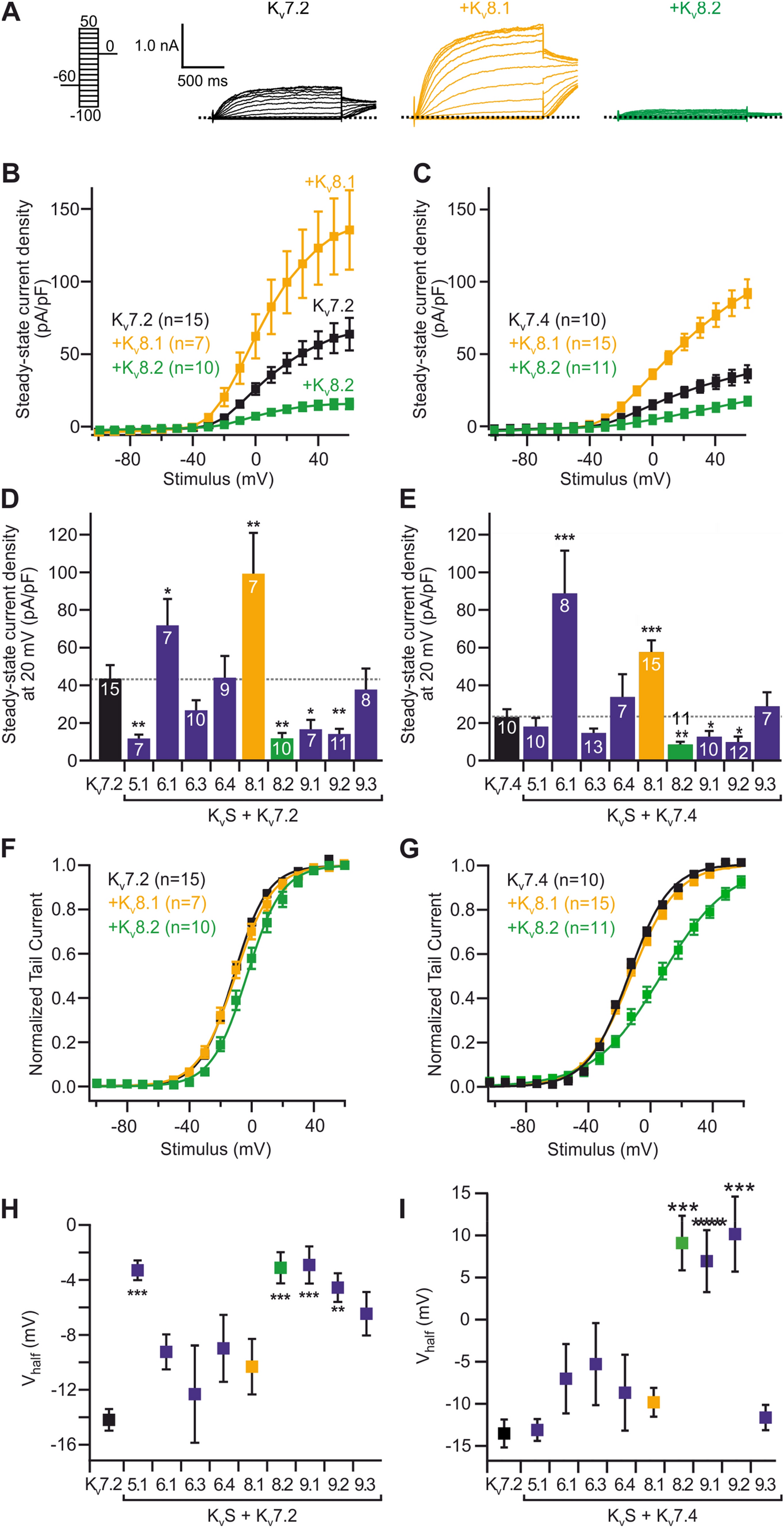 A versatile functional interaction between electrically silent KV subunits and KV7 potassium channels
