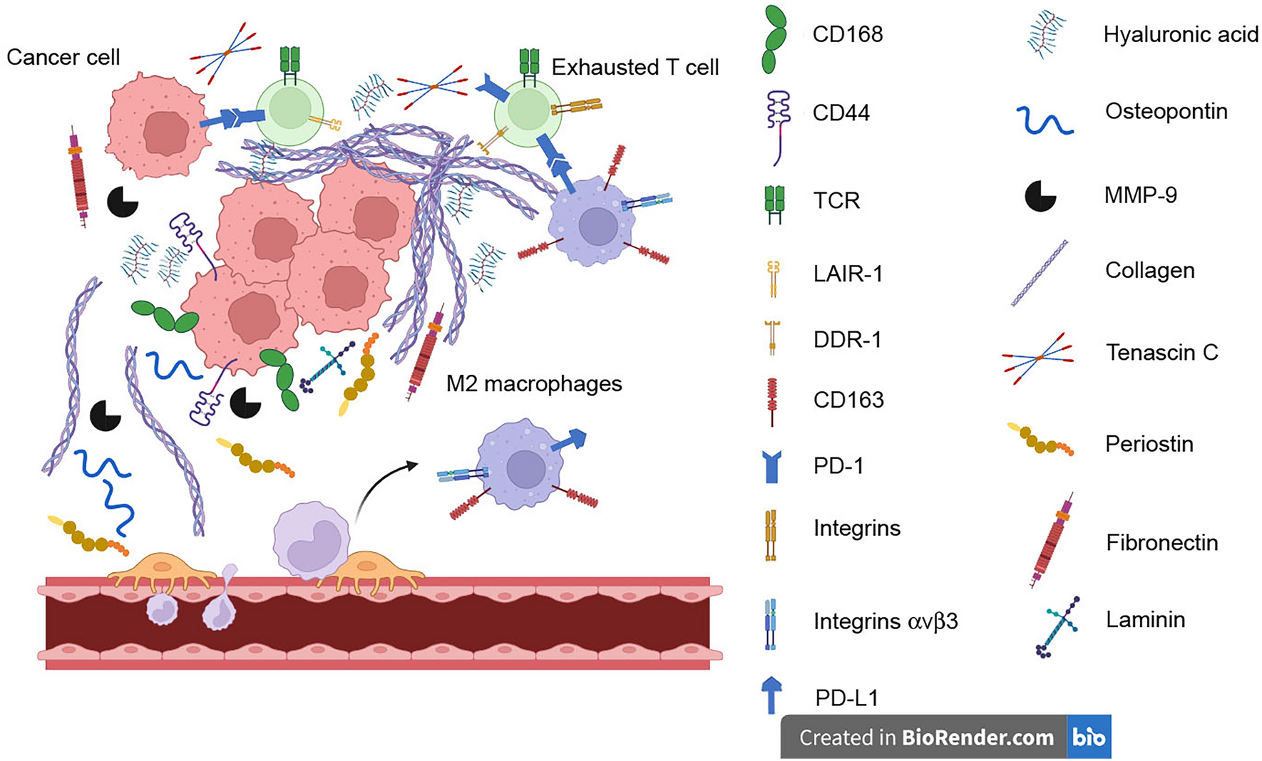 Extracellular Matrix Structure and Interaction with Immune Cells in Adult Astrocytic Tumors